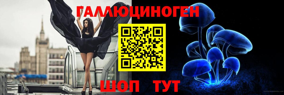 Псилоцибиновые грибы GOLDEN TEACHER Бугульма